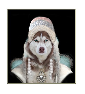 Snow Girl Husky