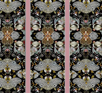 Leopard Butterfly  Stripe - Pink