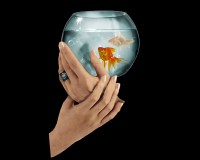 Gentle Fishbowl Hands