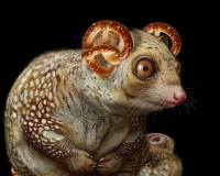 Margarita the Salted CusCus